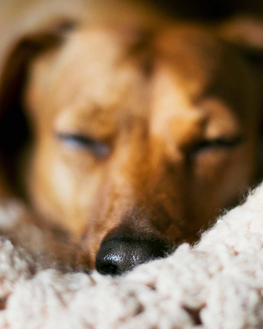 Kehon viestien kuunteleminen on osa palautumista arjessa