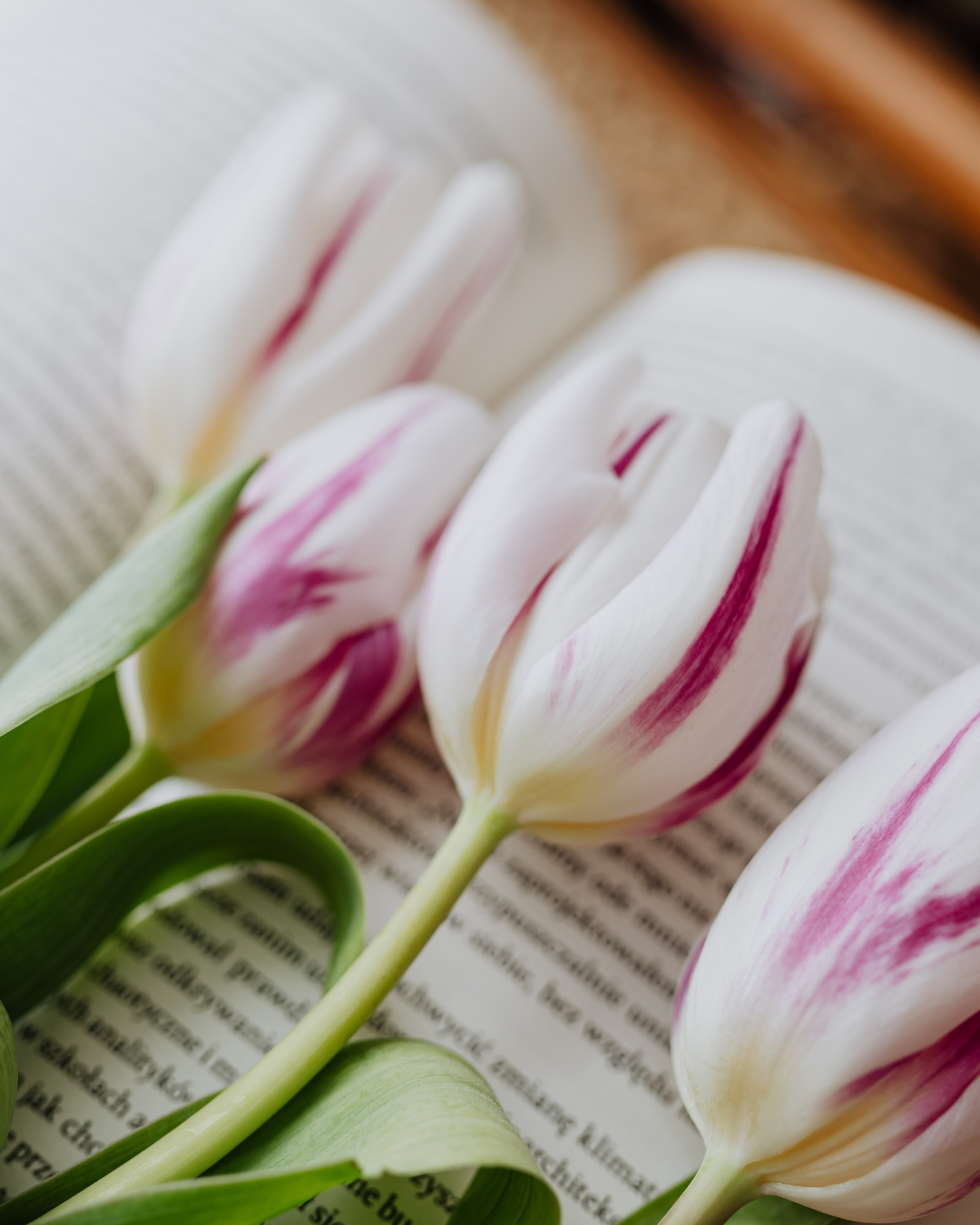 Kun haluat pidemmän tarinan, valitse Versollan verkkokaupasta romanttinen feel good e-kirja.